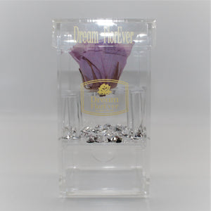 Single Heaven Scent